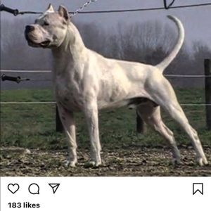 Meet your Posher, Joel